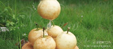 长沙小水果之乡,湖南长沙宝藏打卡地