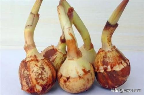 含有天然叶酸的食物,这五种食材天然叶酸高