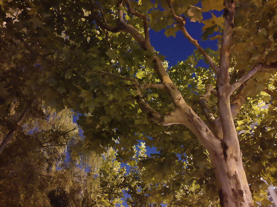 摩托罗拉p50试驾视频,摩托罗拉P50