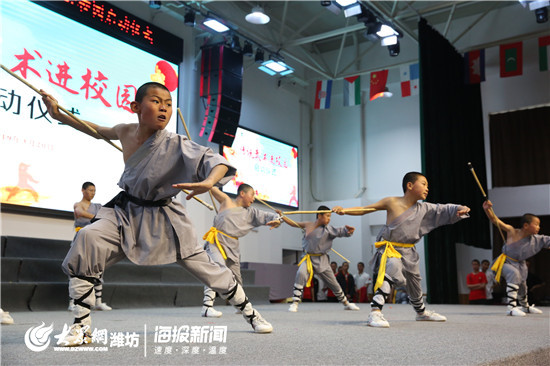 传统武术进学校,中华传统武术课