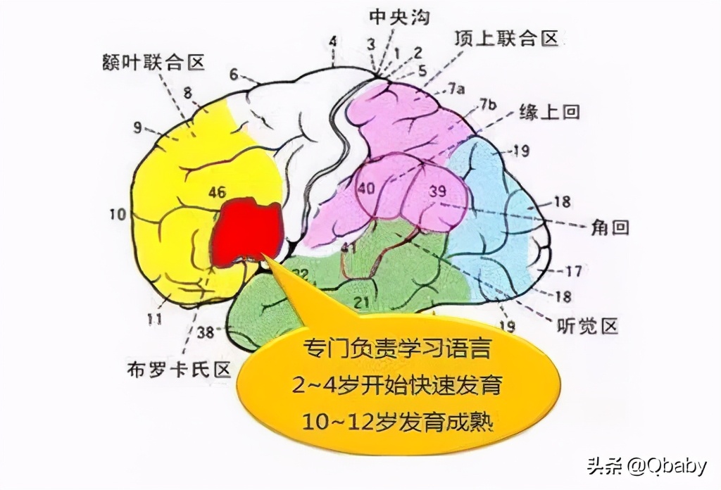 顺利上小学~陪娃早教日程规划及学习机、App使用体验