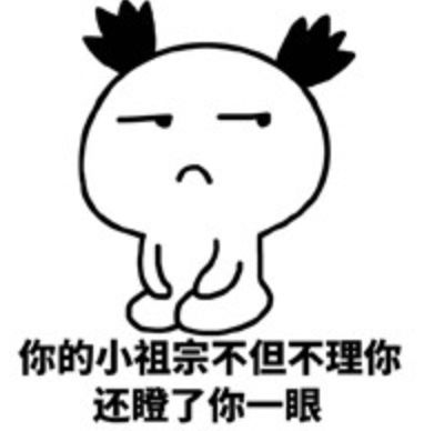 澳洲男子养宠物,澳洲男子养袋鼠做宠物