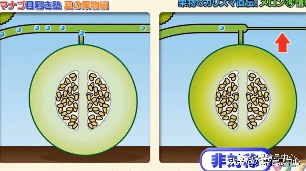 日本水果店怎么挑选,正宗日本水果店