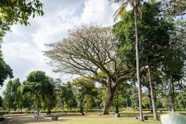这座印尼的宝藏，是多少人的梦