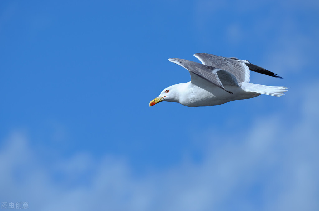 九型人格类型有哪些,九型人格类型4