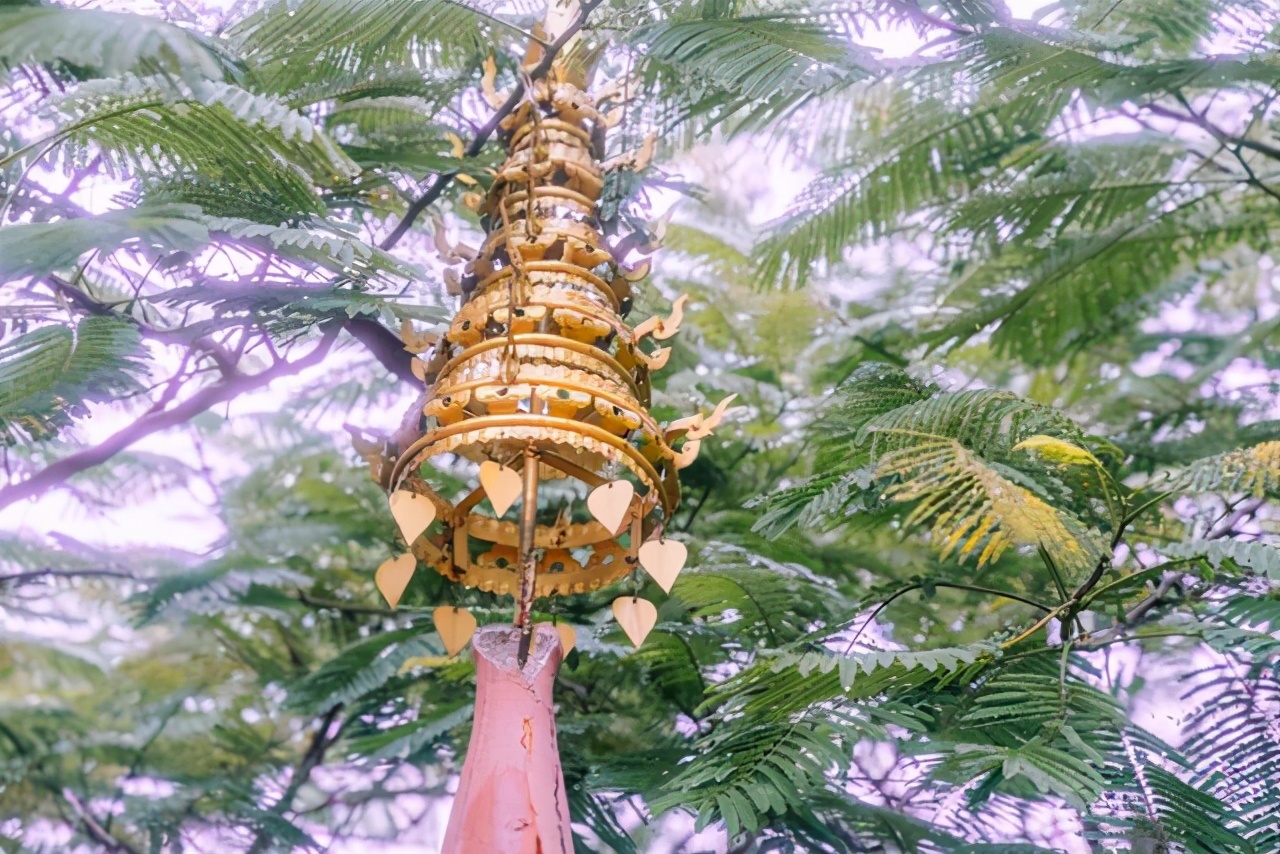 西双版纳曼听公园御花园,曼听公园西双版纳网红景点