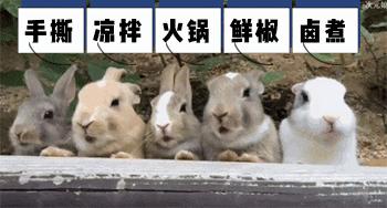 中国动物死亡事件,全国每年有多少动物死亡