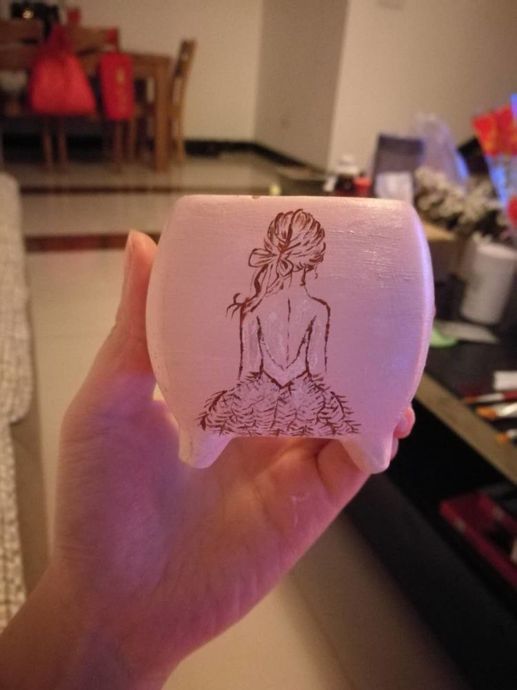 误打误撞的多肉情缘,带我走进多肉小世界!