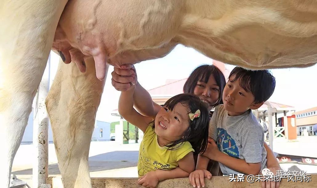 母亲牧场要玩多久,低成本花园家庭农场亲子乐园