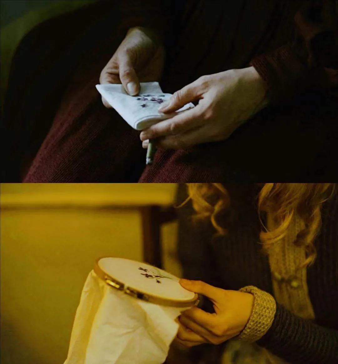 《菊石》的后劲：沉浸体验式的阅片过程，前所未有