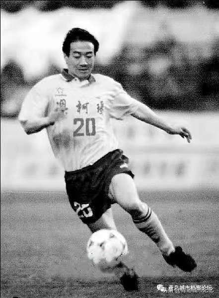 青岛海牛球迷海纳百川,青岛足球海牛球迷