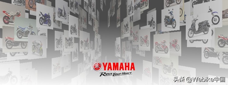 骑行服的护具摔车时不会移位吗,骑行护具摔车后会受损吗