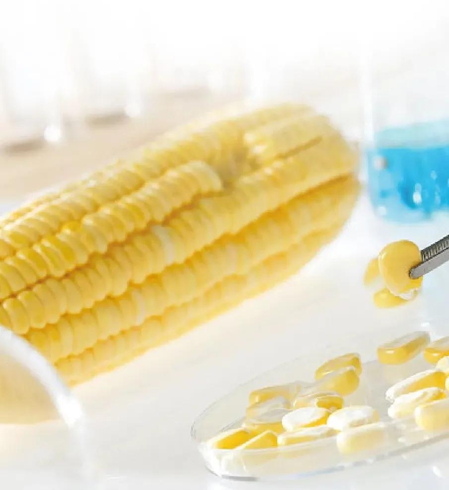 去牙垢口臭最有效的牙膏,高效去牙垢的牙膏