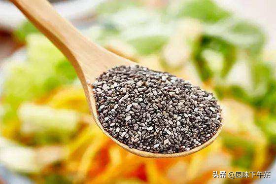 奇亚籽才是真的减肥餐,奇亚籽膳食减肥正确吃法是什么