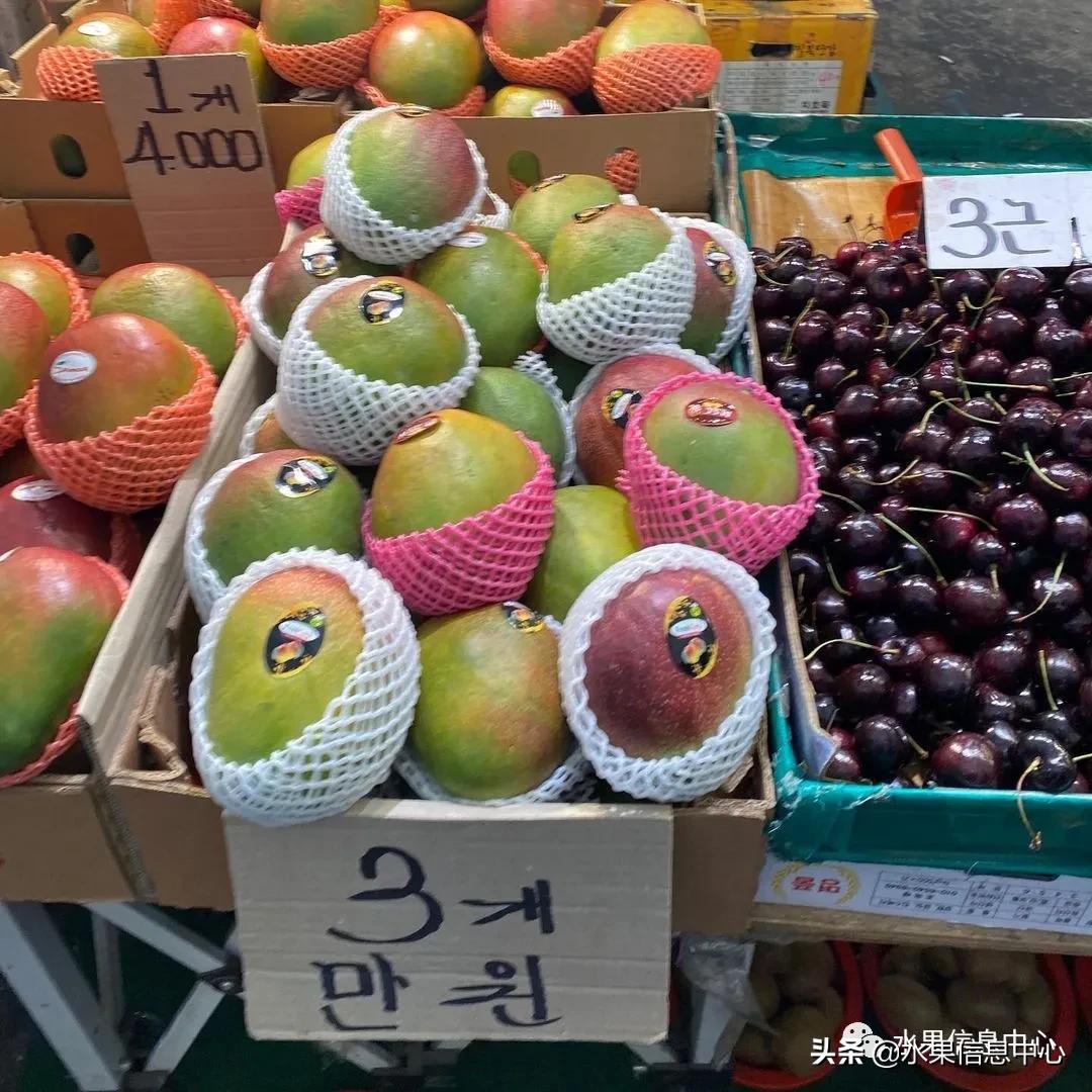 韩国水果批发市场进货渠道,韩国首尔最大的水果批发市场