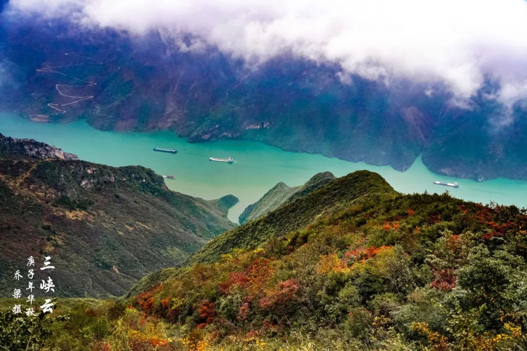 巫山红叶全攻略,巫山红叶2020