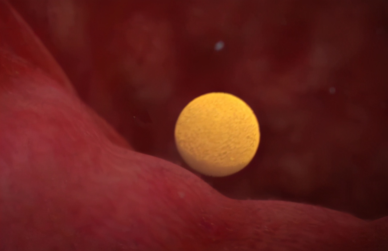 有什么好办法确定怀孕,要怎么确定怀孕