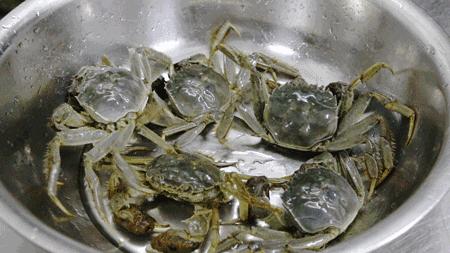 楂樼闃虫緞婀栧ぇ闂歌煿锜瑰鏁欑▼,绮惧搧锜瑰闃虫緞婀栧ぇ闂歌煿