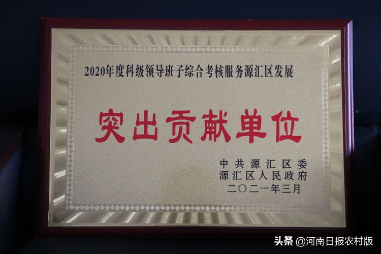 存47亿!贷30亿!漯河源汇区农信社获“突出贡献单位”奖