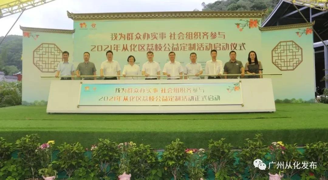 广州从化荔枝公益系列,广州从化公益荔枝