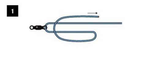 钓鱼人如何绑线结,钓鱼人应会的常用线结