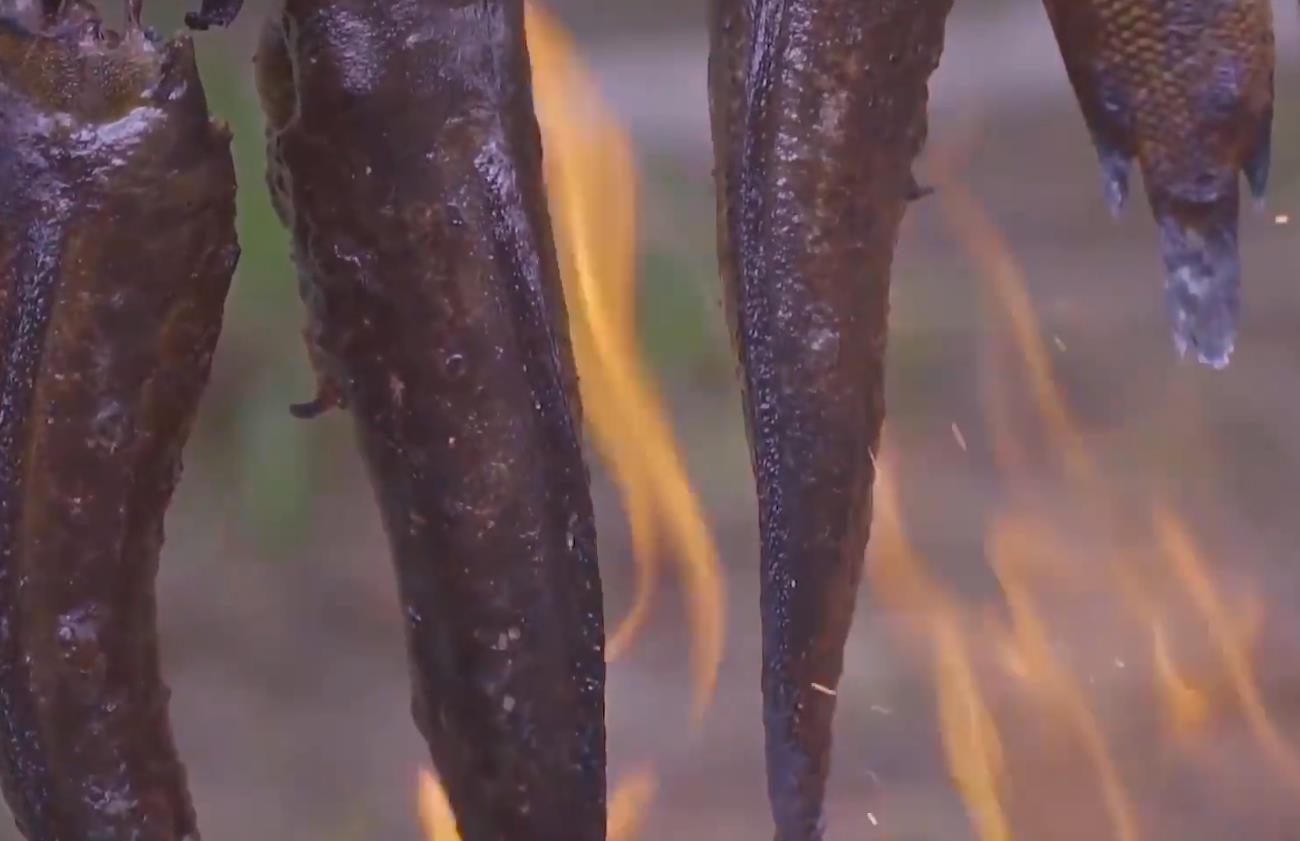 漂亮的野外烤鱼,野外吃美味烤鱼