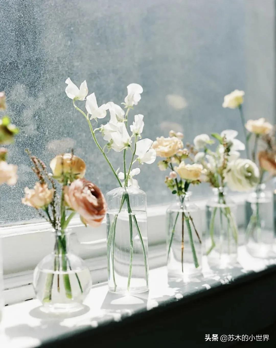 新加坡拯救秋冬沙漠肌 (拯救换季沙漠肌少女必备良心好物)