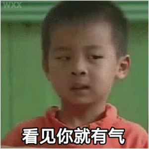 搞笑动图gif猫咪,搞笑动图gif狗