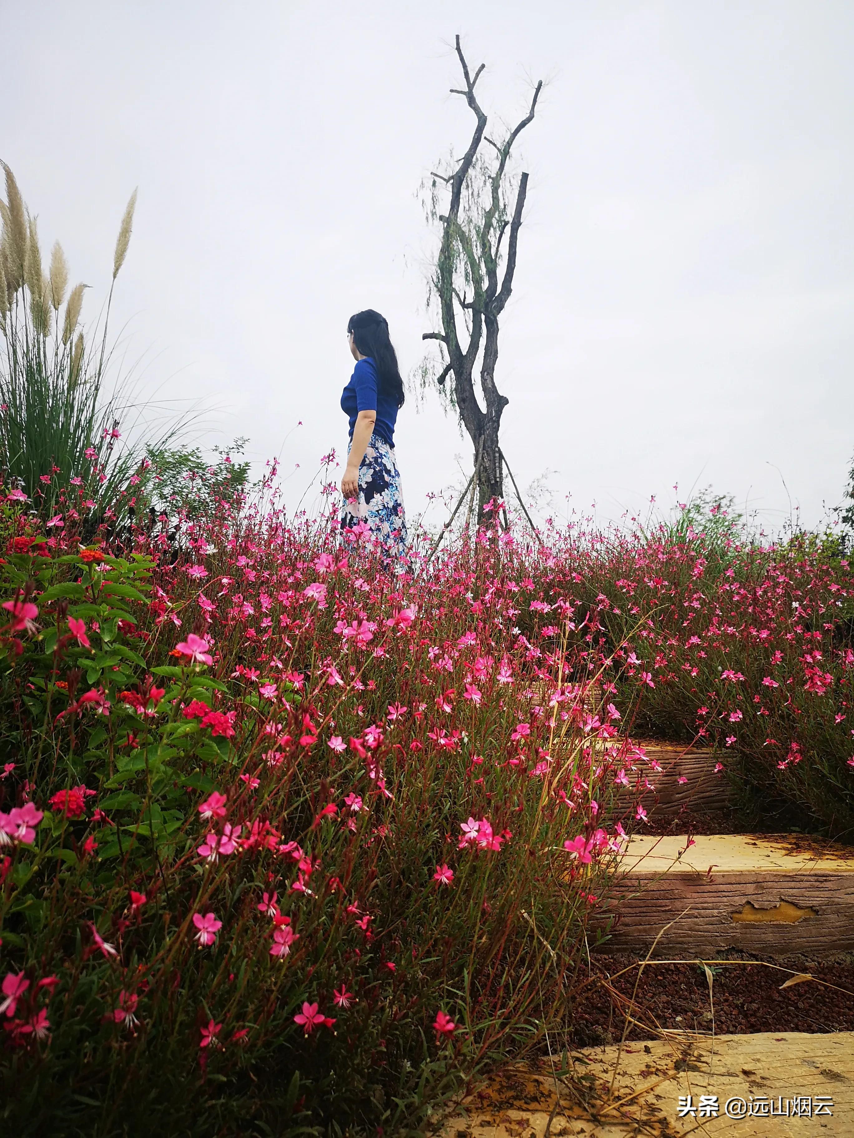 三个方法拍照,自己用自拍杆如何拍照不露杆