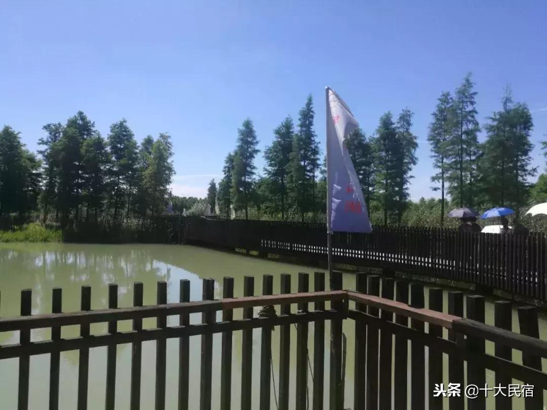 浙江长兴农家乐400元包吃住的民宿,长兴农家乐10月3日到5月三日游