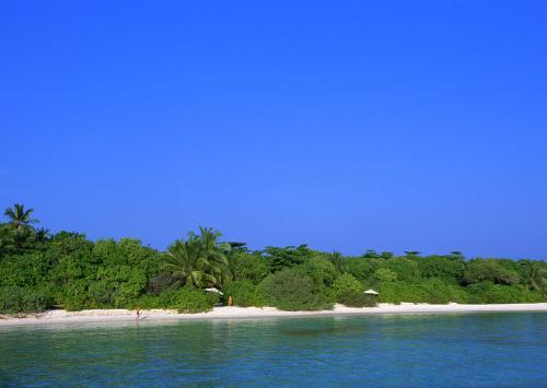 苏东坡趣闻全集,苏东坡趣闻趣事