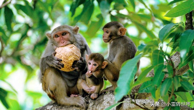 三亚亲子酒店攻略,三亚亲子旅游攻略5天4晚