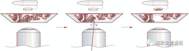 未来医疗器官可再生,再生医学给我们带来的健康