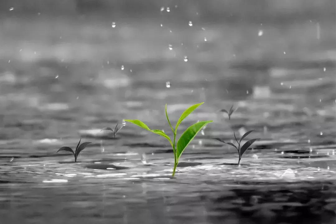 祖宗留下的观天术,老祖宗留下的二十句观天术