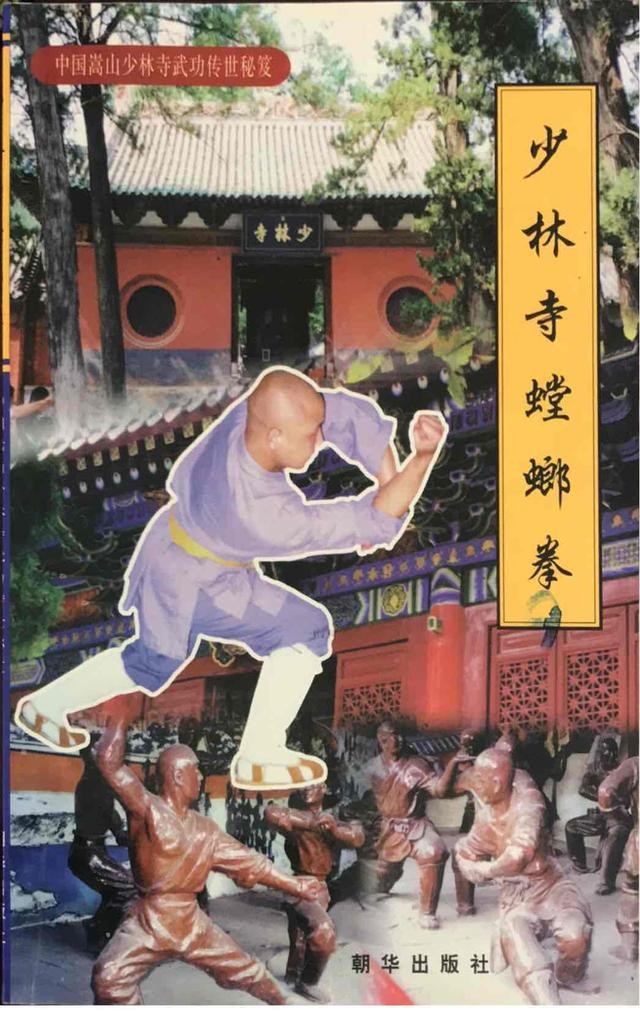 登封少林寺释永智罗汉院视频,河南嵩山少林寺释永信功夫