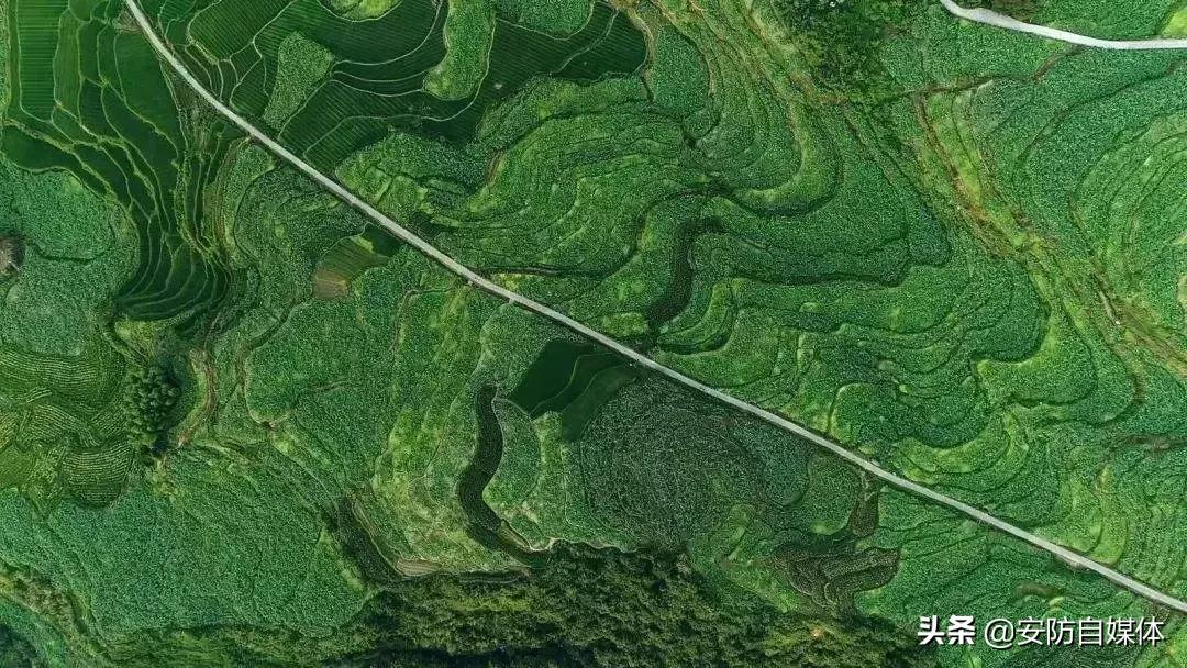 超硬核!宇视发布空气污染智能解决方案