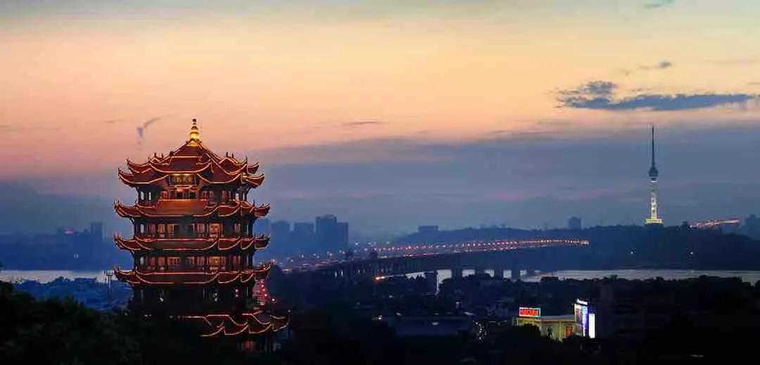 钱币收藏价值梅花五角钱,钱币收藏菊花一元2000年