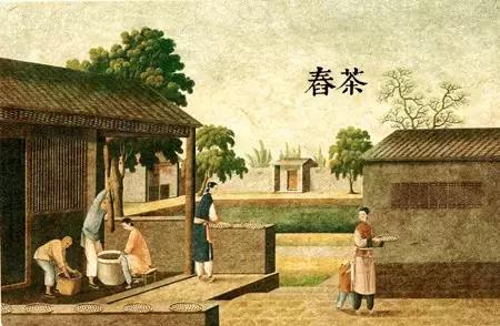 漫话中国古代史怎么画,漫话中国茶的历史