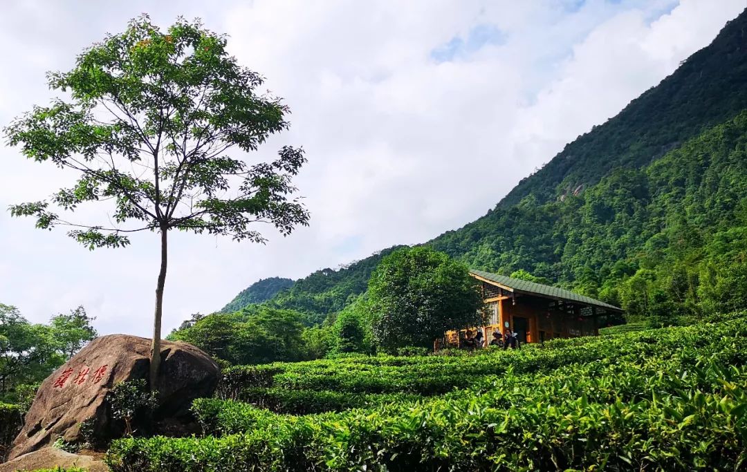 贺州姑婆山景区国家森林公园,贺州姑婆山森林公园路线