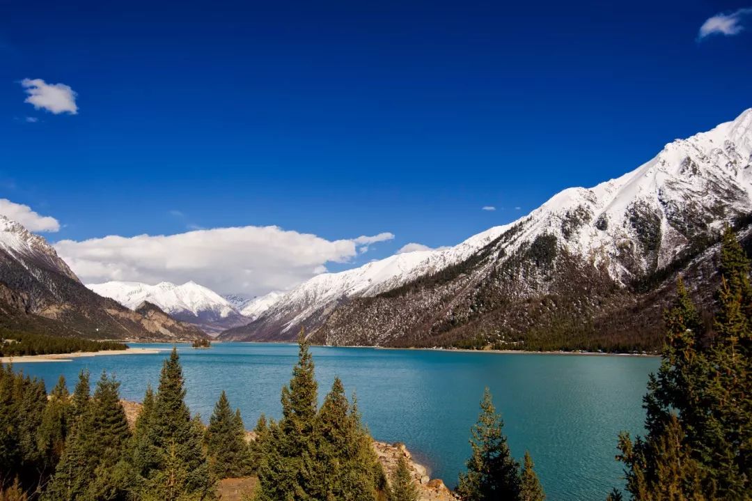 有一种风情叫江南烟雨,波密西藏江南