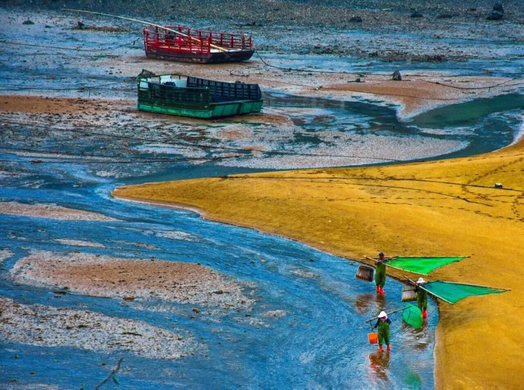 福建霞浦县：立足特色，培育品牌，农特产品插上电商之翼