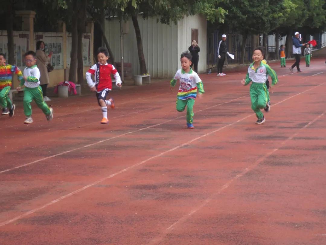 龙腾虎跃展英姿,龙腾虎跃展宏图