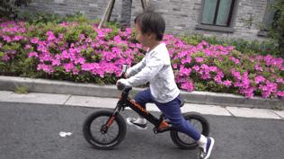 运动相机和手机哪一个适合做vlog,运动相机用哪个vlog