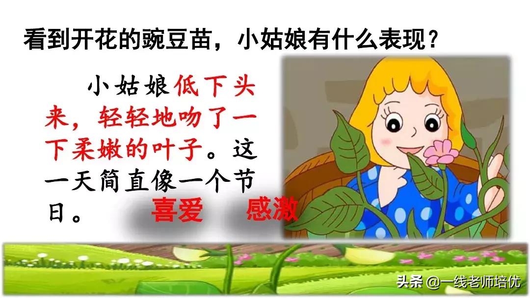 四年级上册豆荚里的五粒豆笔记,一个豆荚里的五粒豆四年级课文