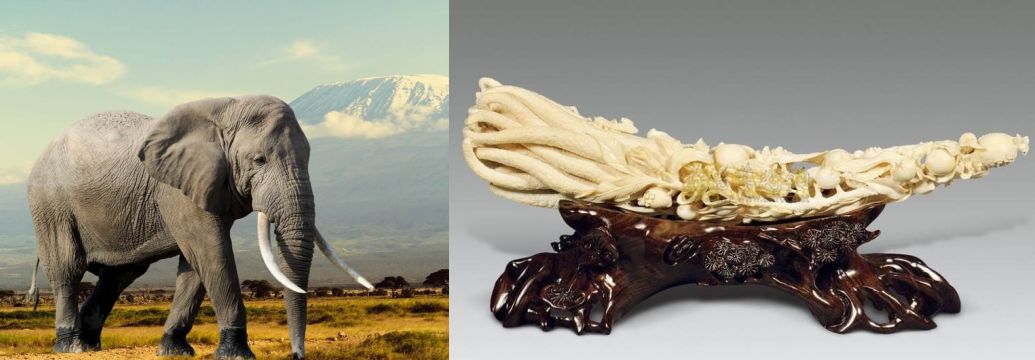 一辈子都不能碰的七种文玩,这10种文玩都是违禁品最好别碰