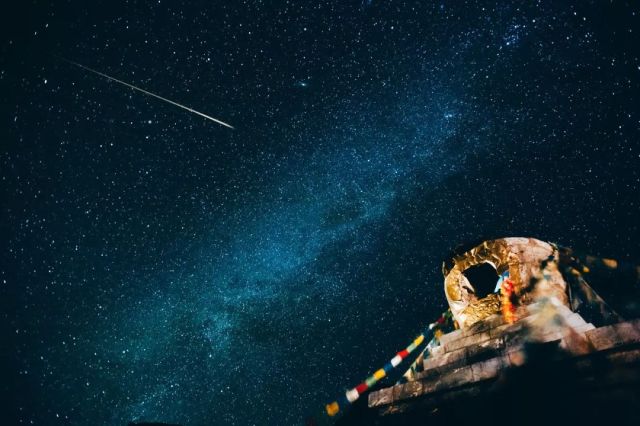 什么是云南品种,什么是云南的特色