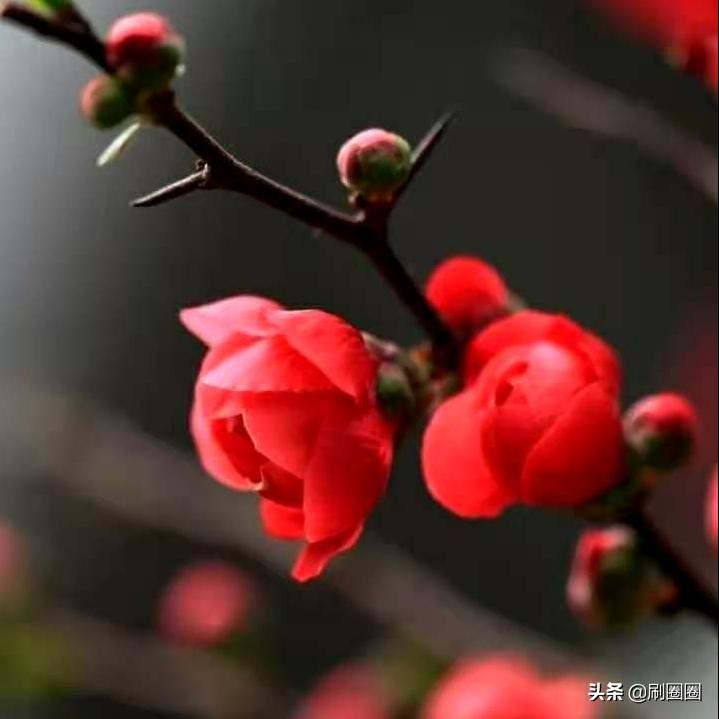 第五单元说明文作文500字五年级,五年级第五单元说明文作文范文