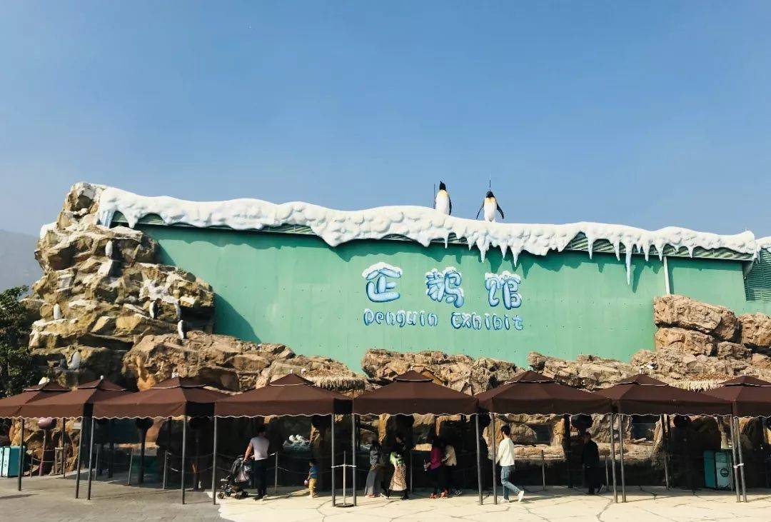 珠海长隆海洋王国附近住宿攻略,珠海长隆海洋王国三人住两天一夜