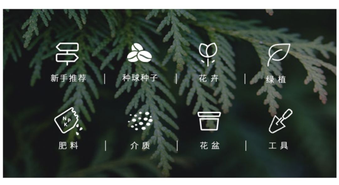 按头安利！5块钱淘宝好物，解决最难搞的收纳问题