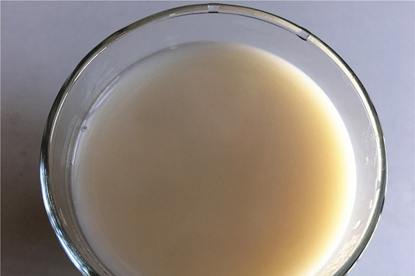 喝牛奶的最佳时间是早上还是晚上,孕妇早上喝牛奶还是晚上喝牛奶好